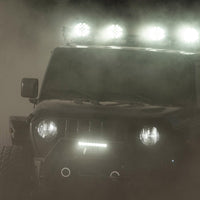 ProComp Pro Comp Motorsports Series Single Row Light Bar: 10