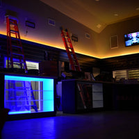 ORACLE Interior LED Flexible Strip