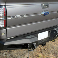 2009 - 2014 Ford F-150/Raptor HoneyBadger Rear Bumper